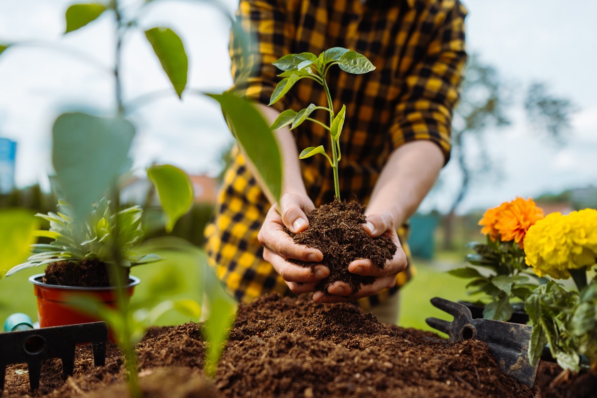 Sol Humide Quelles Sont Les Plantes Adaptées à Un Sol Humide ? » Ligne Jardin